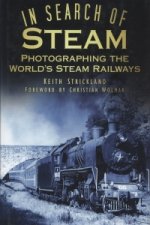 In Search of Steam