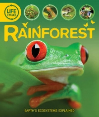 Life Cycles: Rainforest