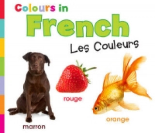 Colours in French