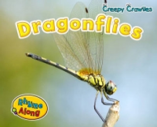 Dragonflies