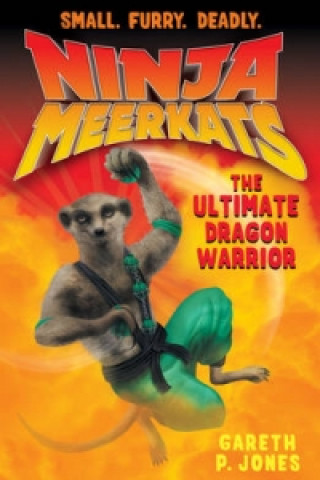 Ultimate Dragon Warrior