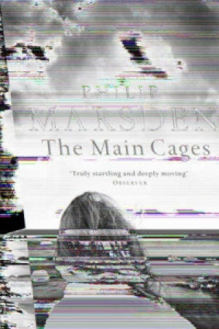 Main Cages