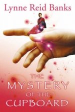 Mystery of the Cupboard