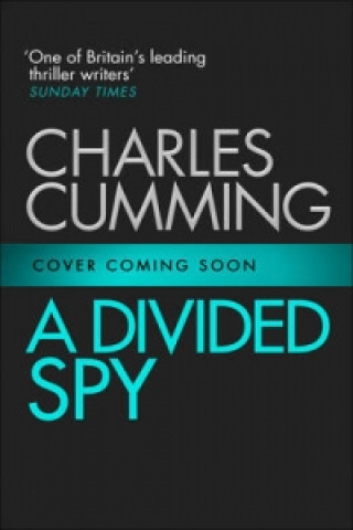 Divided Spy