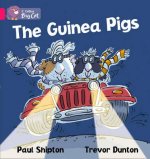 Guinea Pigs Workbook