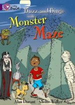 Buzz and Bingo and the Monster Maze Workbook