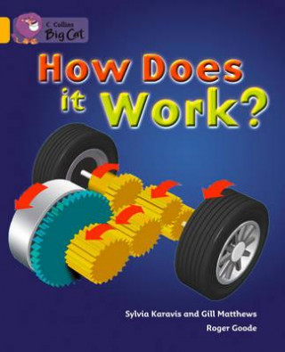 How Does it Work? Workbook