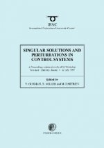 Singular Solutions and Perturbations in Control Systems