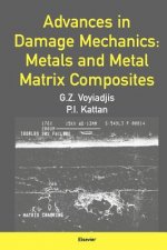 Advances in Damage Mechanics: Metals and Metal Matrix Composites