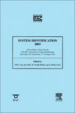 System Identification 2003