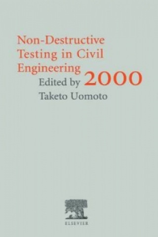 Non-Destructive Testing in Civil Engineering 2000