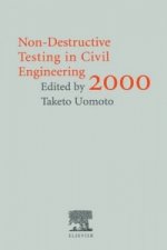 Non-Destructive Testing in Civil Engineering 2000