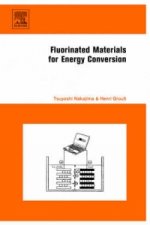Fluorinated Materials for Energy Conversion