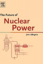 Future of Nuclear Power