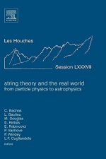 String Theory and the Real World: From particle physics to astrophysics