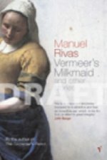 Vermeer's Milkmaid