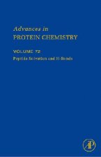 Peptide Solvation and H-bonds
