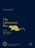 Laboratory Rat