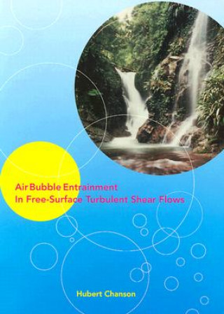 Air Bubble Entrainment in Free-Surface Turbulent Shear Flows