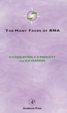 Many Faces of RNA