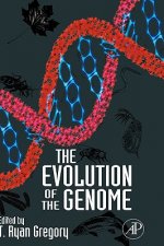 Evolution of the Genome