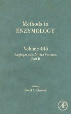 Angiogenesis: In Vivo Systems, Part B