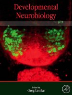 Developmental Neurobiology