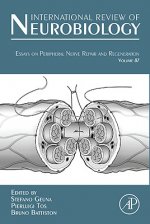 Essays on Peripheral Nerve Repair and Regeneration