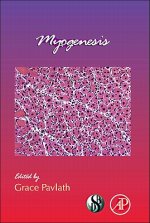 Myogenesis