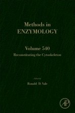 Reconstituting the Cytoskeleton