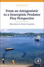 From an Antagonistic to a Synergistic Predator Prey Perspective