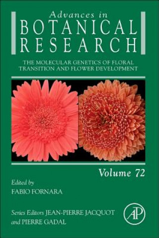 Molecular Genetics of Floral Transition and Flower Development