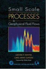 Small Scale Processes in Geophysical Fluid Flows