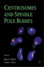 Centrosomes and Spindle Pole Bodies