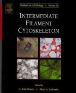 Intermediate Filament Cytoskeleton