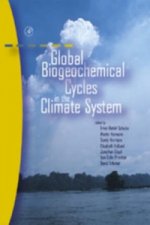 Global Biogeochemical Cycles in the Climate System