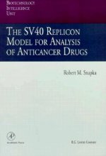 SV40 Replicon Model for Analysis of Anticancer Drugs