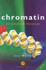 Chromatin