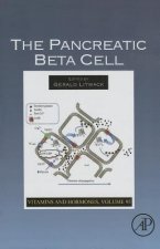 Pancreatic Beta Cell
