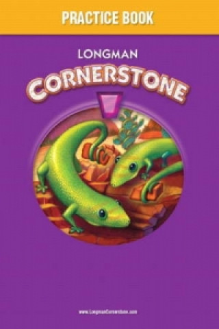 Longman Cornerstone A Practice Book