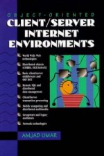 Object-oriented Client/Server Internet Applications