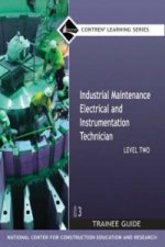 Industrial Maintenance Electrical & Instrumentation Level 2 TG, Paperback