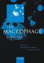 Macrophage