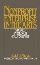 Non-Profit Enterprise in the Arts