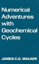 Numerical Adventures with Geochemical Cycles