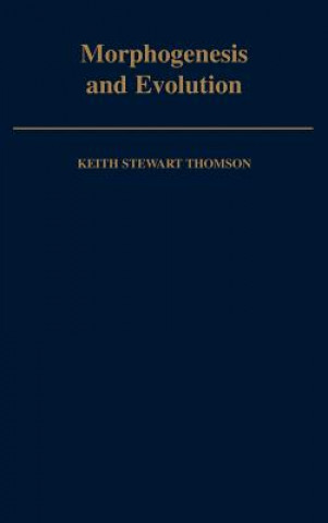 Morphogenesis and Evolution