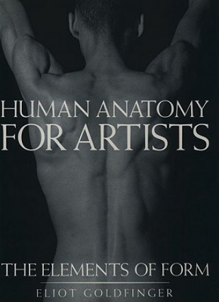 Human Anatomy for Artists