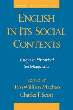 English in Its Social Contexts
