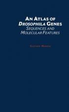 Atlas of Drosophila Genes