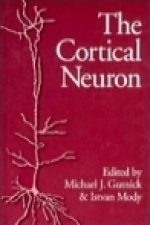 Cortical Neuron